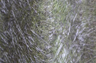 Kelso fibreglass roof work